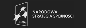 Narodowa Strategia Spójności